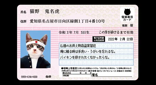 コラボレーションイメージ